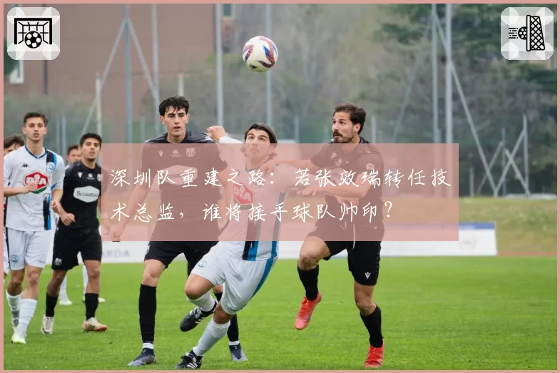 深圳队重建之路：若张效瑞转任技术总监，谁将接手球队帅印？