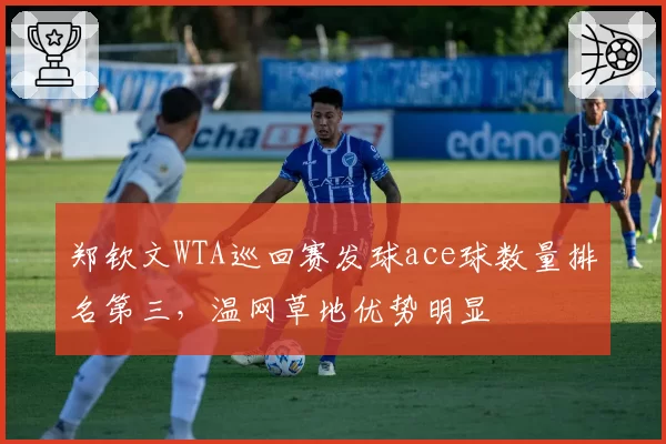 郑钦文WTA巡回赛发球ace球数量排名第三,温网草地优势明显