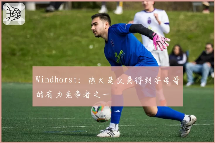Windhorst：热火是交易得到字母哥的有力竞争者之一