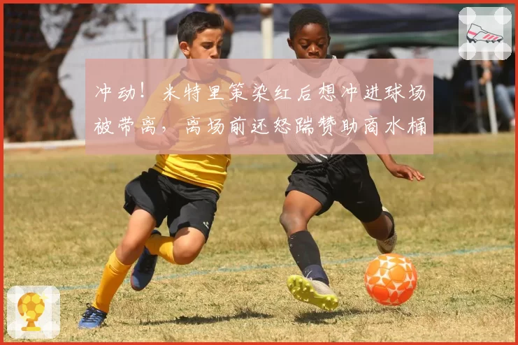 冲动！米特里策染红后想冲进球场被带离，离场前还怒踹赞助商水桶