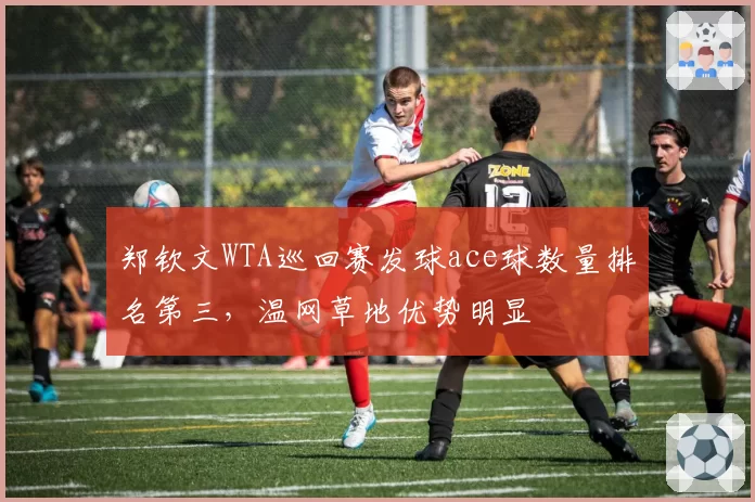郑钦文WTA巡回赛发球ace球数量排名第三,温网草地优势明显